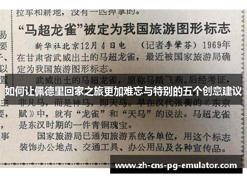 如何让佩德里回家之旅更加难忘与特别的五个创意建议