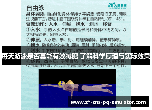 每天游泳是否真能有效减肥 了解科学原理与实际效果