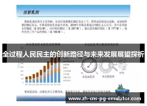 全过程人民民主的创新路径与未来发展展望探析