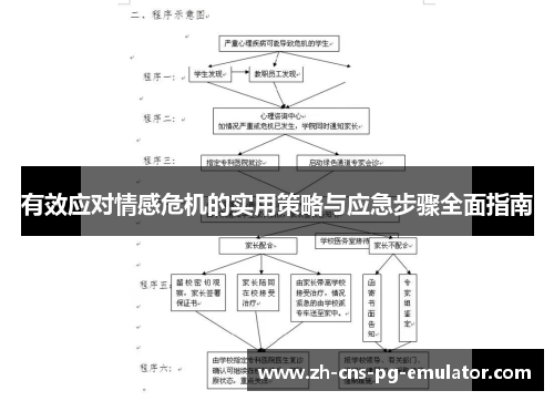 有效应对情感危机的实用策略与应急步骤全面指南