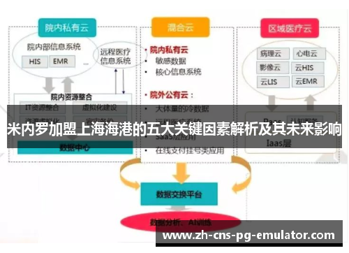 米内罗加盟上海海港的五大关键因素解析及其未来影响