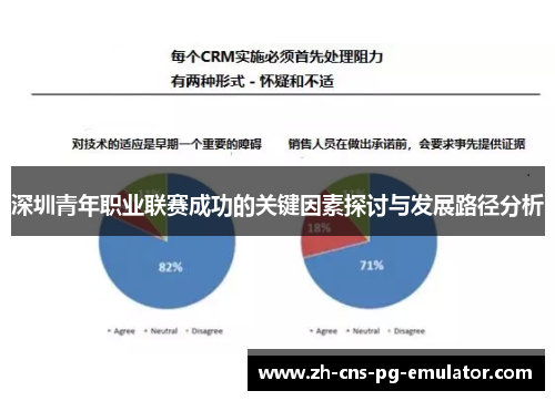 深圳青年职业联赛成功的关键因素探讨与发展路径分析